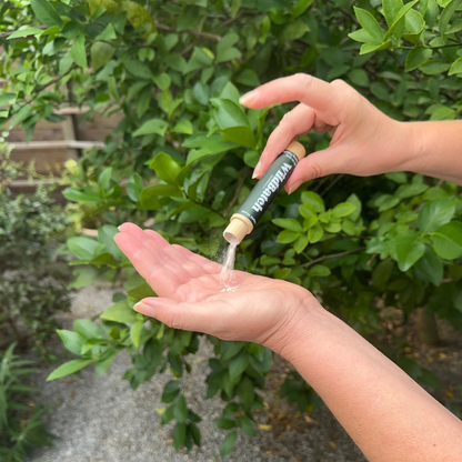 WildBatch Trail Soap 2-pack