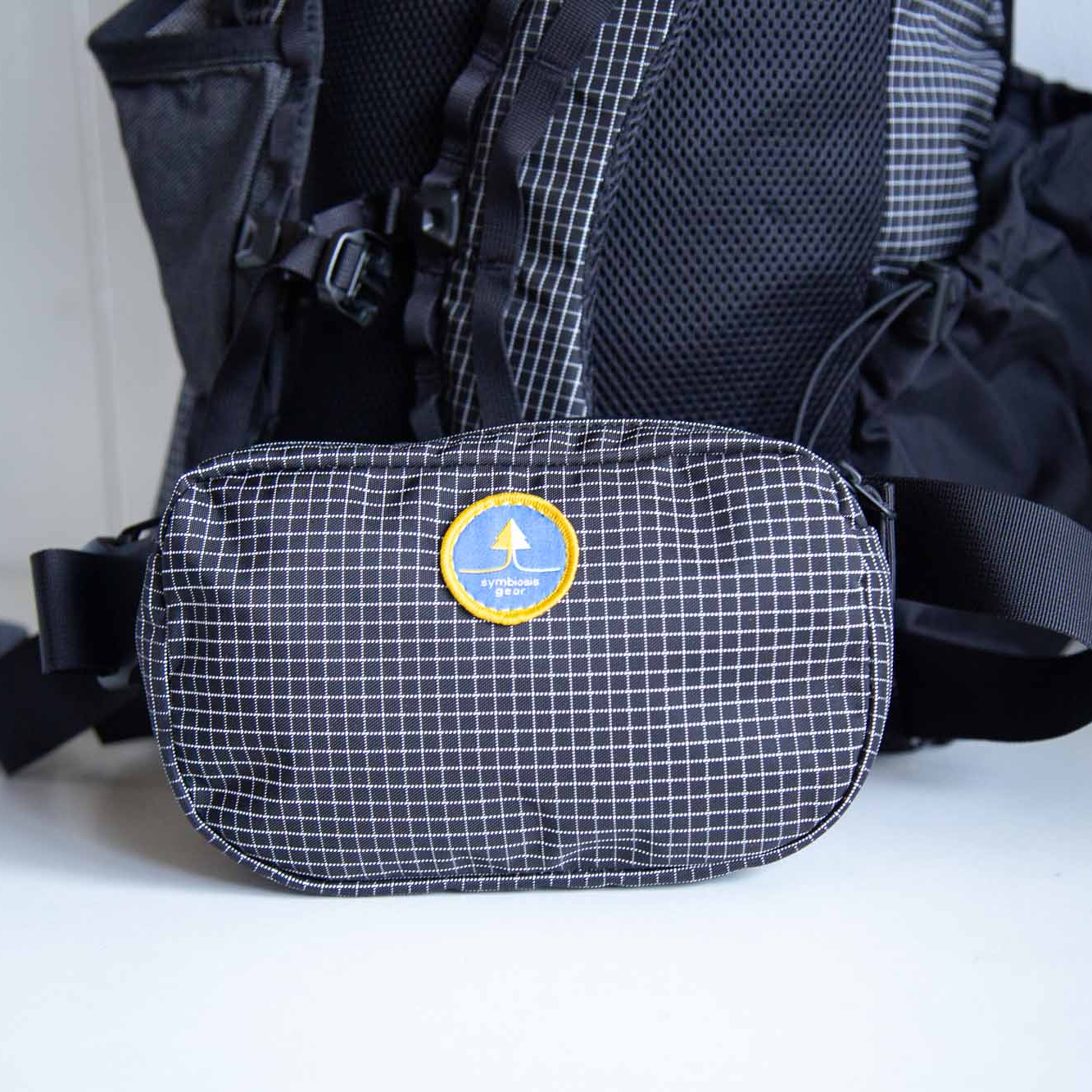 ✨PRE-ORDER✨ The Huckleberry - hipbelt pocket, fanny pack, sling bag