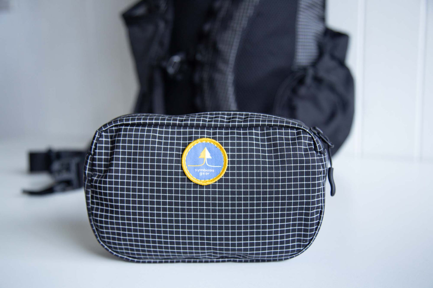 ✨PRE-ORDER✨ The Huckleberry - hipbelt pocket, fanny pack, sling bag