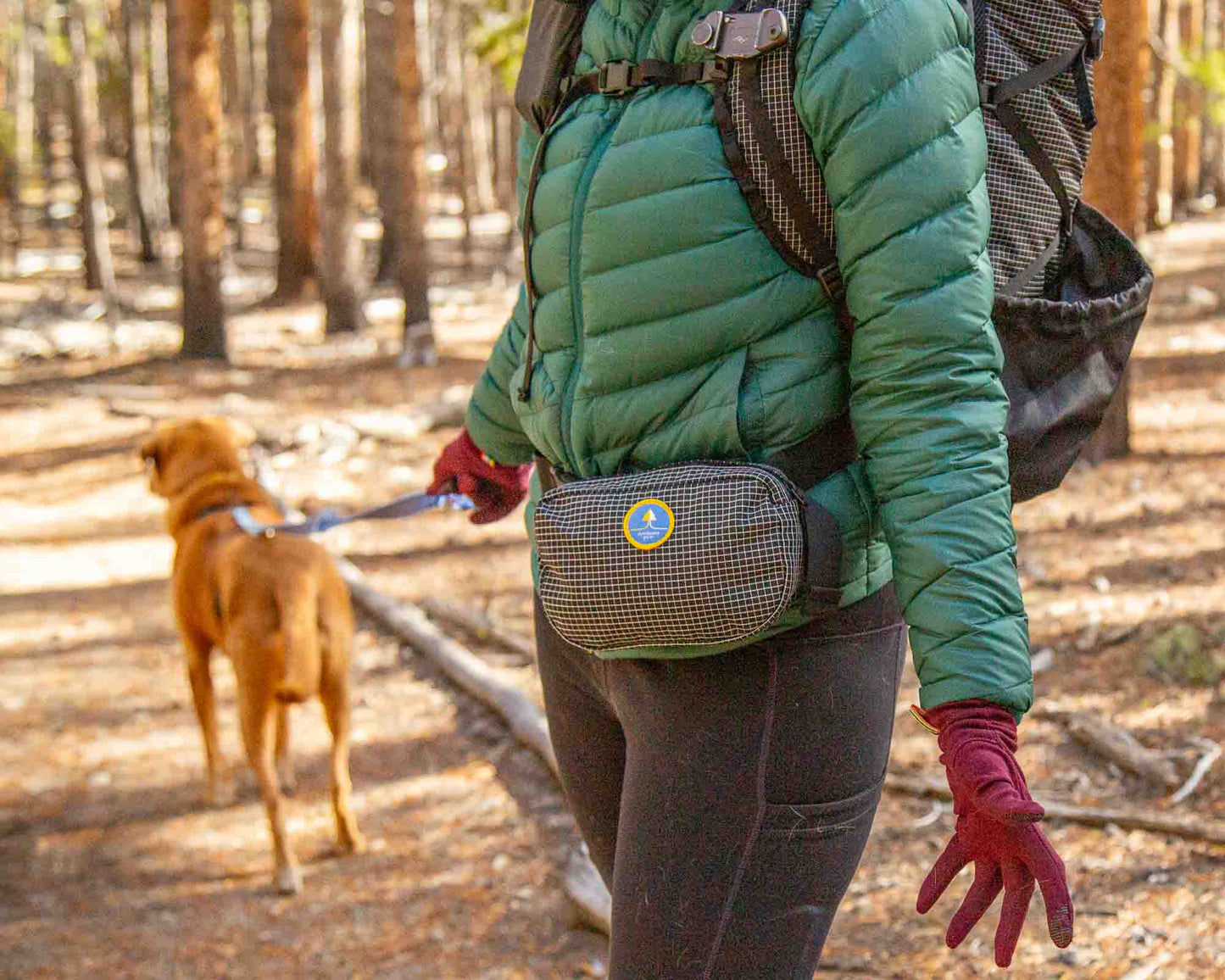 ✨PRE-ORDER✨ The Huckleberry - hipbelt pocket, fanny pack, sling bag