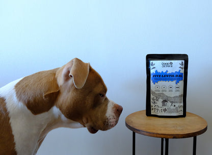 Good Detour - Five Lentils Dal